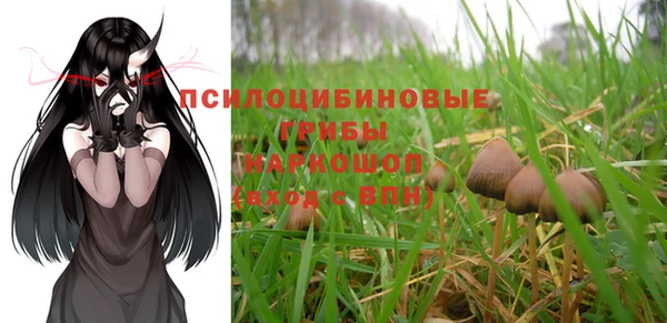 герыч Ладушкин